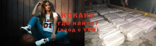 крисы Баксан