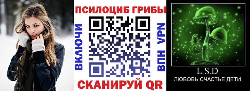 закладка  Эртиль  Псилоцибиновые грибы прущие грибы 